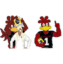 Load image into Gallery viewer, Mayo Bowl Sticker Collection (Pack of 4)
